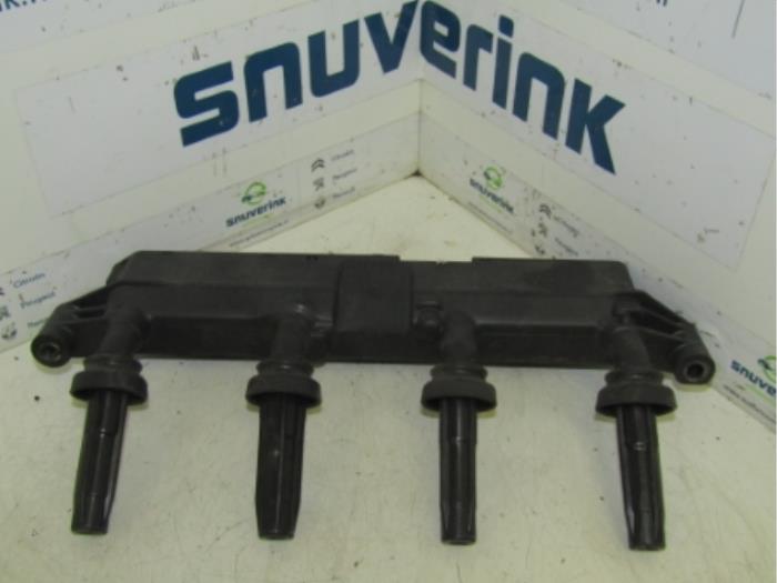 Usagé Bobine Peugeot 206+ (2L/M) 1.4 XS Prix € 14,99 Règlement à la marge proposé par Snuverink Autodemontage