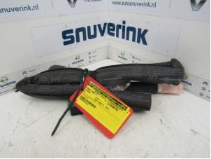 Usagé Airbag plafond droite Citroen C3 (SC) 1.6 HDi 92 Prix € 125,00 Règlement à la marge proposé par Snuverink Autodemontage