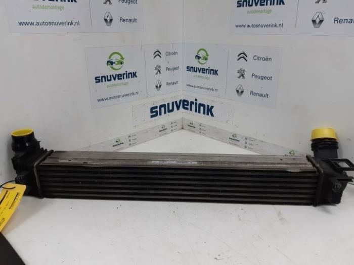 Usagé Intercooler Renault Scénic III (JZ) 1.5 dCi 110 Prix € 29,75 Règlement à la marge proposé par Snuverink Autodemontage