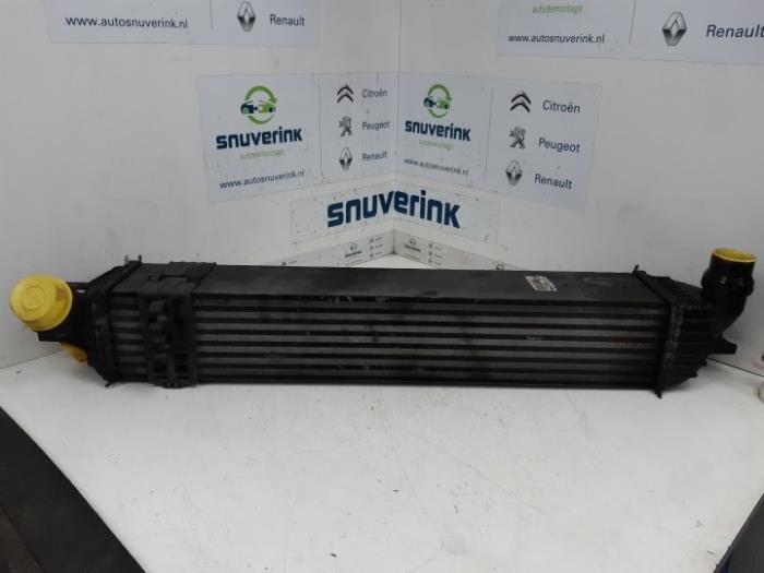 Usados Intercooler Renault Laguna III Estate (KT) 2.0 dCi 16V 175 FAP Precio € 57,37 Norma de margen ofrecido por Snuverink Autodemontage