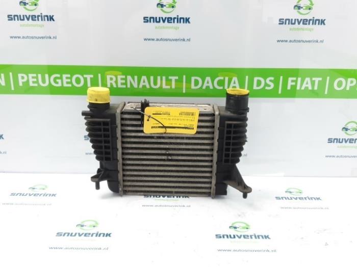 Usagé Intercooler Renault Clio III (BR/CR) 1.2 16V TCe 100 Prix € 29,75 Règlement à la marge proposé par Snuverink Autodemontage