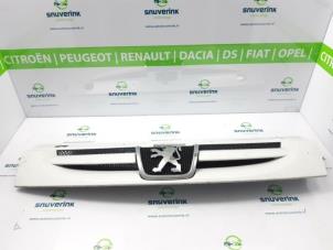 Used Grille Peugeot Partner 1.9 D Price € 35,00 Margin scheme offered by Snuverink Autodemontage