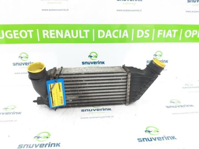Usados Intercooler Peugeot Expert (G9) 2.0 HDi 120 Precio € 61,71 IVA incluido ofrecido por Snuverink Autodemontage