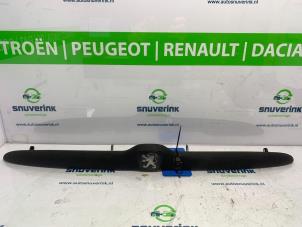 Usados Marco embellecedor puerta detrás Peugeot 206 (2A/C/H/J/S) 1.1 XN,XR Precio € 40,00 Norma de margen ofrecido por Snuverink Autodemontage