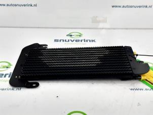 Used Fuel cooler Opel Vivaro Combi 1.6 CDTI Biturbo 120 Price € 54,45 Inclusive VAT offered by Snuverink Autodemontage