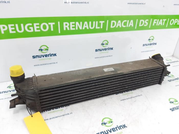 Usados Intercooler Renault Laguna Coupé (DT) 2.0 Turbo 16V GT Precio € 73,10 Norma de margen ofrecido por Snuverink Autodemontage
