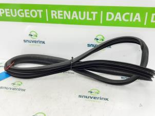 Used Front door seal 4-door, right Peugeot 207/207+ (WA/WC/WM) 1.6 16V GT THP Price € 30,00 Margin scheme offered by Snuverink Autodemontage