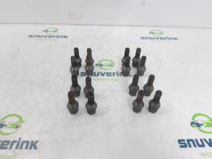 Used Set of wheel bolts Renault Clio III (BR/CR) 1.2 16V Tce Price on request offered by Snuverink Autodemontage
