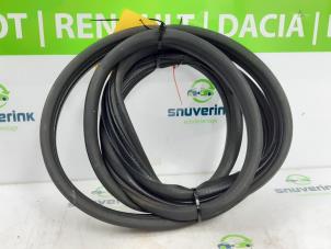 Used Front door seal 4-door, right Renault Clio III (BR/CR) 1.2 16V 75 Price € 30,00 Margin scheme offered by Snuverink Autodemontage