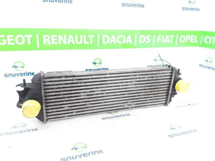 Usados Intercooler Opel Vivaro 1.9 DTI 16V Precio € 30,23 IVA incluido ofrecido por Snuverink Autodemontage