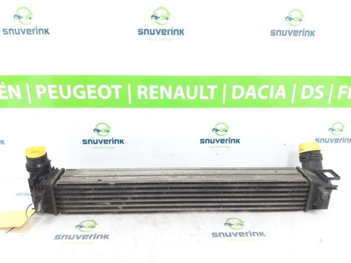 Usagé Intercooler Renault Megane III Berline (BZ) 1.5 dCi 90 Prix € 50,98 Règlement à la marge proposé par Snuverink Autodemontage