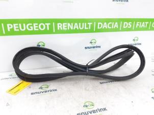 Gebrauchte Türgummi 4-türig links vorne Renault Scénic III (JZ) 2.0 16V CVT Preis auf Anfrage angeboten von Snuverink Autodemontage
