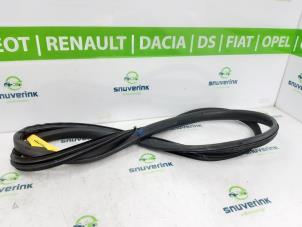 Used Door seal 2-door, left Renault Megane III Coupe (DZ) 1.4 16V TCe 130 Price on request offered by Snuverink Autodemontage