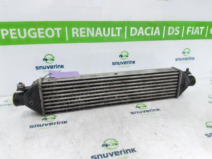 Usados Intercooler Fiat Doblo Cargo (263) 1.3 D Multijet Precio € 61,70 IVA incluido ofrecido por Snuverink Autodemontage
