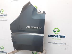 Used Front wing, left Fiat Ducato (250) 2.0 D 115 Multijet Price € 54,45 Inclusive VAT offered by Snuverink Autodemontage