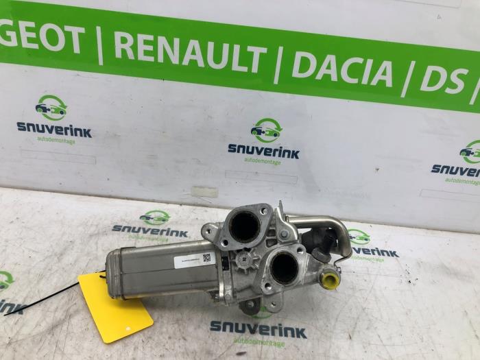 Renault Master AGR Kühler Vorrat | ProxyParts.de