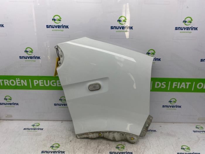 Używane Blotnik prawy przód Renault Master II (FD/HD) 2.5 dCi 120 FAP Cena € 59,00 Z VAT oferowane przez Snuverink Autodemontage
