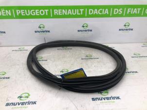 Used Front door seal 4-door, right Peugeot Partner Tepee (7A/B/C/D/E/F/G/J/P/S) 1.6 16V Phase 1 Price on request offered by Snuverink Autodemontage