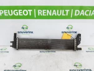 Gebrauchte Kühler Renault Express 1.5 dCi 75 Preis auf Anfrage angeboten von Snuverink Autodemontage