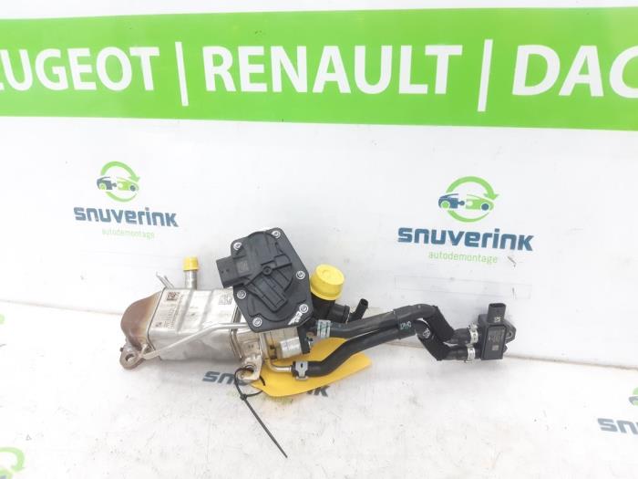 Gebrauchte AGR Ventil Renault Austral 1.2 E-Tech Full Hybrid 200 Preis € 151,25 Mit Mehrwertsteuer angeboten von Snuverink Autodemontage