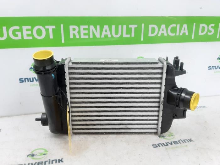 Usados Intercooler Renault Clio V (RJAB) 1.0 TCe 90 12V Precio € 114,95 IVA incluido ofrecido por Snuverink Autodemontage