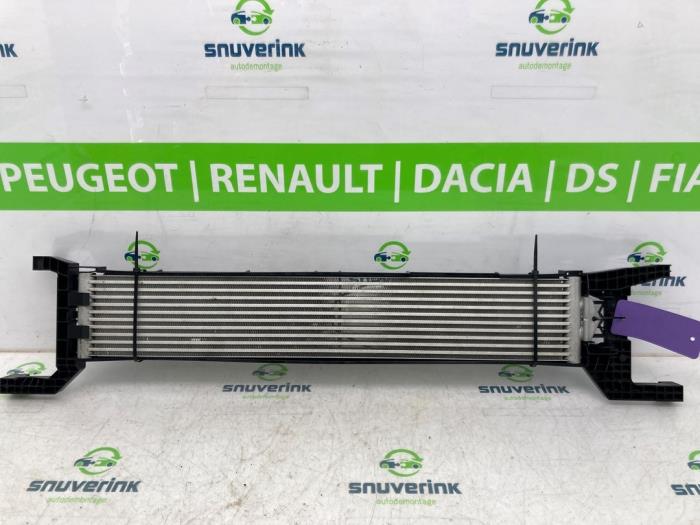 Gebrauchte Ölkühler Fiat Ducato (250) 2.2 D 140 Multijet 3 Preis € 181,50 Mit Mehrwertsteuer angeboten von Snuverink Autodemontage