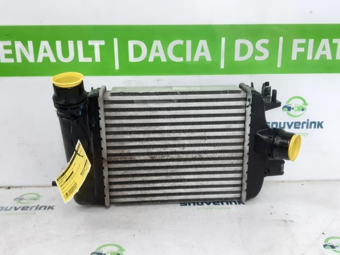 Usados Intercooler Renault Clio V (RJAB) 1.0 TCe 100 12V Precio € 114,95 IVA incluido ofrecido por Snuverink Autodemontage