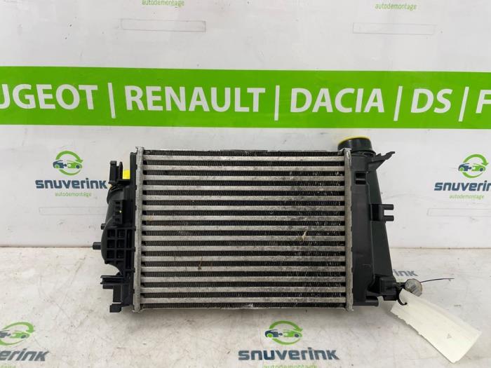 Usagé Intercooler Renault Megane IV (RFBB) 1.6 GT Energy TCe 205 EDC Prix € 75,00 Règlement à la marge proposé par Snuverink Autodemontage
