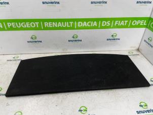Usagé Coffre tapis Dacia Duster (DJF) 1.2 TCE 130 12V Mild Hybrid 4x2 Prix € 70,00 Règlement à la marge proposé par Snuverink Autodemontage