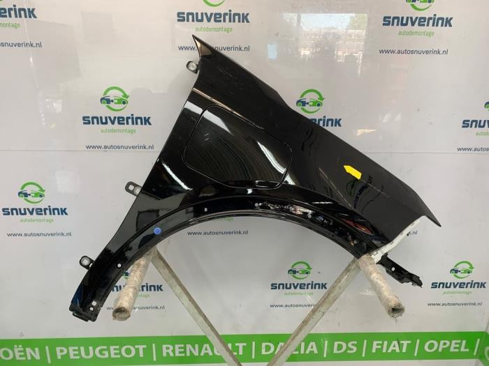 Framskärm, höger från en Renault Scenic E-Tech Electric (RCB) EV60 2024