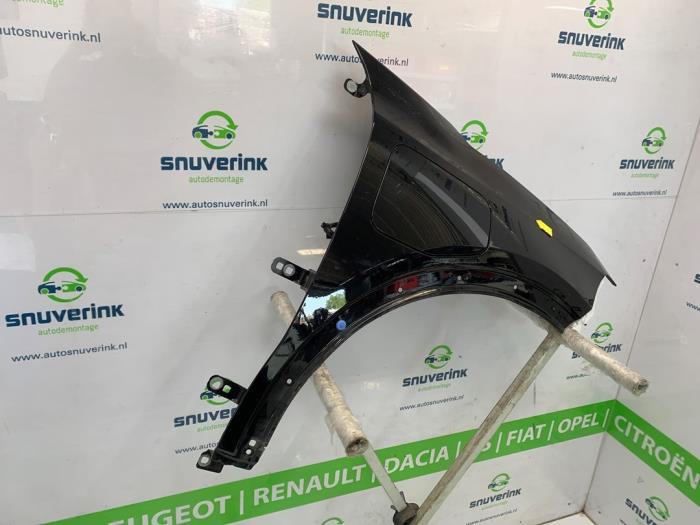 Framskärm, höger från en Renault Scenic E-Tech Electric (RCB) EV60 2024