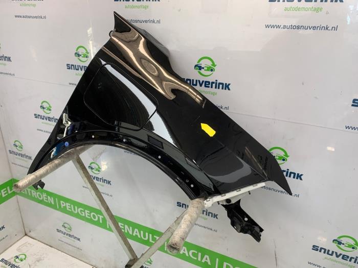 Framskärm, höger från en Renault Scenic E-Tech Electric (RCB) EV60 2024