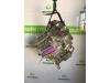 Renault Scenic E-Tech Electric (RCB) EV60 Motor