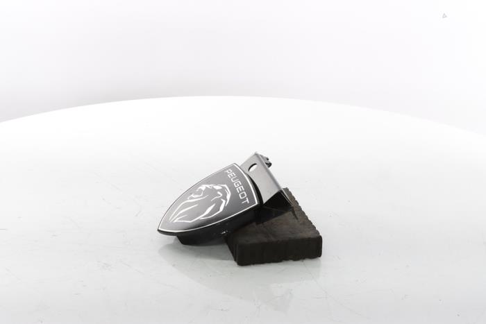 Emblem from a Peugeot 3008 III e-3008 210 73 kWh 2024
