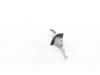 Door lock cylinder, left from a Peugeot 3008 III e-3008 210 73 kWh 2024