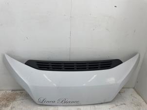 Używane Maska Fiat Ducato (250) 2.3 D 130 Multijet Cena € 350,00 Procedura marży oferowane przez Snuverink Autodemontage