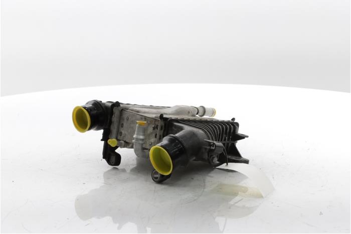 Usagé Intercooler Renault Express 1.5 dCi 75 Prix € 254,10 Prix TTC proposé par Snuverink Autodemontage