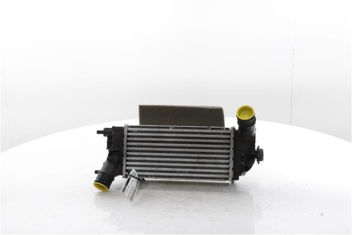 Usados Intercooler Ford Puma 1.0 Ti-VCT EcoBoost mHEV 12V Precio € 125,00 Norma de margen ofrecido por Snuverink Autodemontage