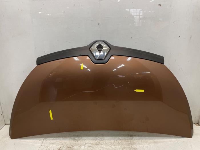 Używane Maska Renault Trafic (1FL/2FL/3FL/4FL) 1.6 dCi Twin Turbo Cena € 484,00 Z VAT oferowane przez Snuverink Autodemontage