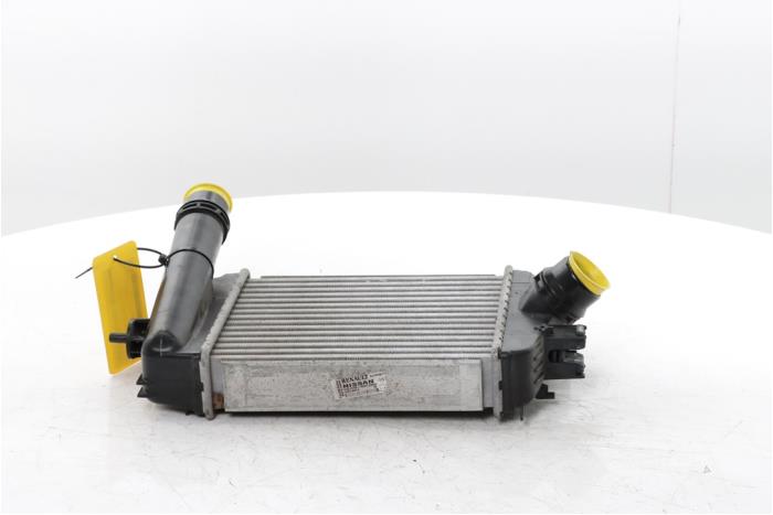 Usados Intercooler Renault Clio V (RJAB) 1.0 TCe 100 12V Precio € 95,00 Norma de margen ofrecido por Snuverink Autodemontage