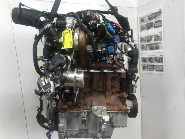 Used Engine Renault Express 1.5 dCi 75 Price € 3.025,00 Inclusive VAT offered by Snuverink Autodemontage