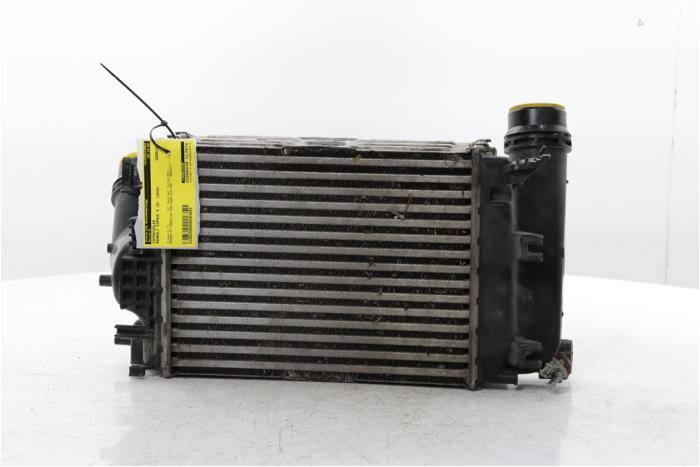 Usagé Intercooler Renault Espace (RFCJ) 1.6 Tce 200 Prix € 75,00 Règlement à la marge proposé par Snuverink Autodemontage