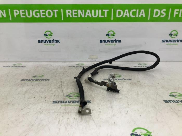 Używane Biegun akumulator Citroen DS3 (SA) 1.6 e-HDi Cena € 65,00 Procedura marży oferowane przez Snuverink Autodemontage