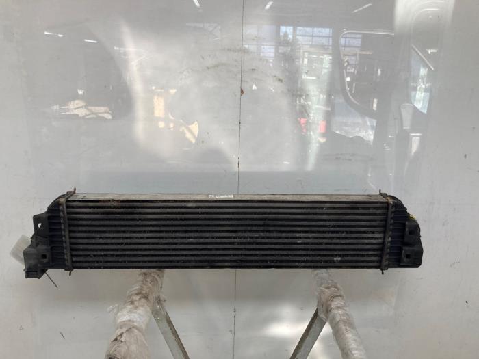 Usagé Intercooler Renault Master III (MA/MB/MC/MD/MH/MF/MG/MH) 2.3 dCi 16V Prix € 181,50 Prix TTC proposé par Snuverink Autodemontage