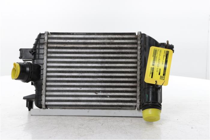 Usagé Intercooler Renault Arkana (RJLL) 1.3 TCe 140 16V Prix € 175,00 Règlement à la marge proposé par Snuverink Autodemontage