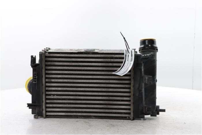 Usagé Intercooler Nissan Qashqai (J12) 1.3 DIG-T MHEV 16V Prix € 95,00 Règlement à la marge proposé par Snuverink Autodemontage