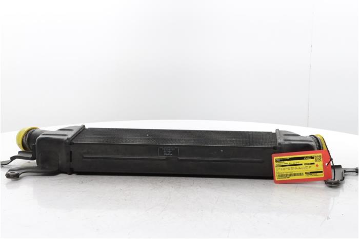 Used Intercooler Citroen C-Crosser 2.2 HDiF 16V Price € 115,00 Margin scheme offered by Snuverink Autodemontage