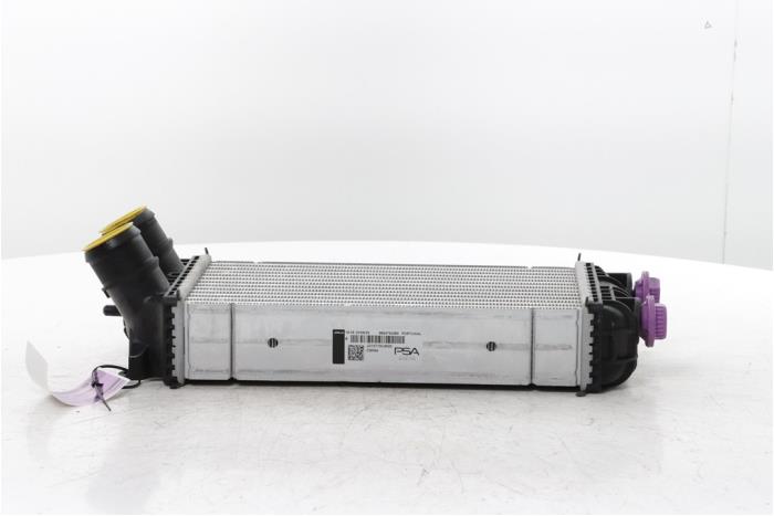 Usagé Intercooler Fiat Grande Panda (325) 1.2 Hybrid Prix € 72,60 Prix TTC proposé par Snuverink Autodemontage