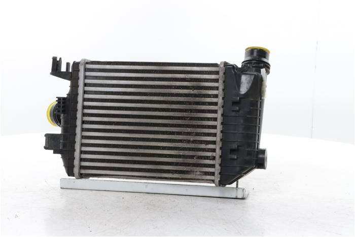 Usados Intercooler Renault Arkana (RJLL) 1.3 Mild Hybrid 160 16V Precio € 175,00 Norma de margen ofrecido por Snuverink Autodemontage