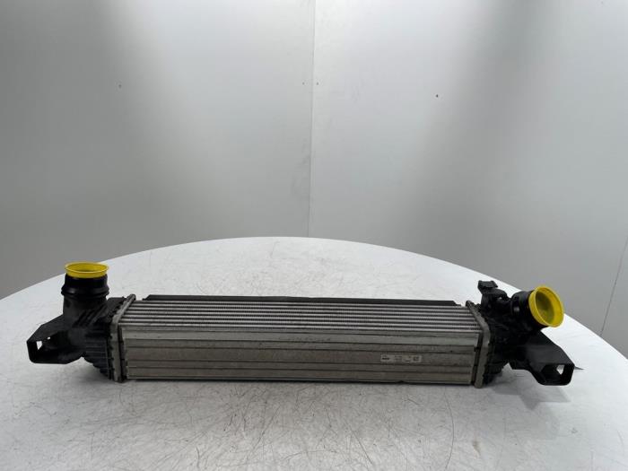 Usados Intercooler BMW 1 serie (F40) 118i 1.5 TwinPower 12V Precio € 150,00 Norma de margen ofrecido por Snuverink Autodemontage